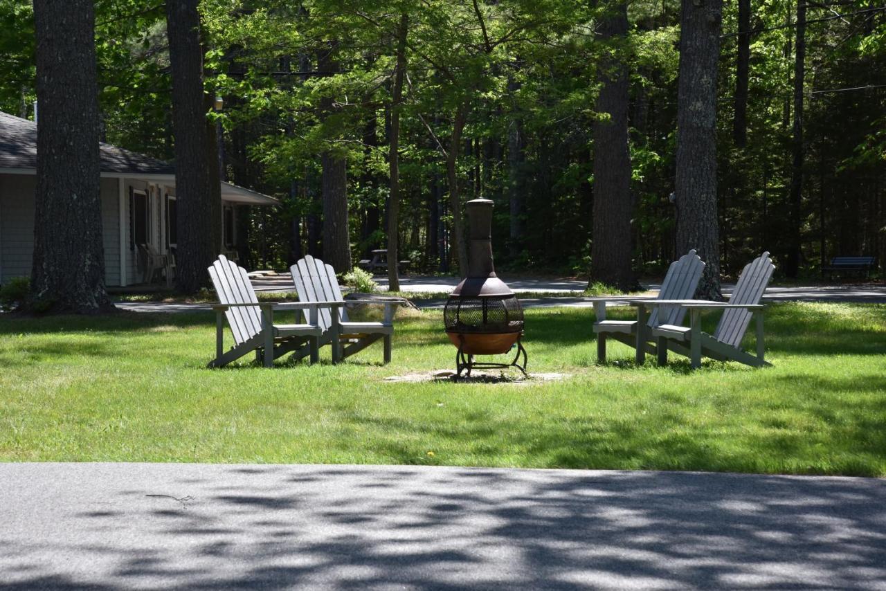 بار هاربور Acadia Pines Motel المظهر الخارجي الصورة