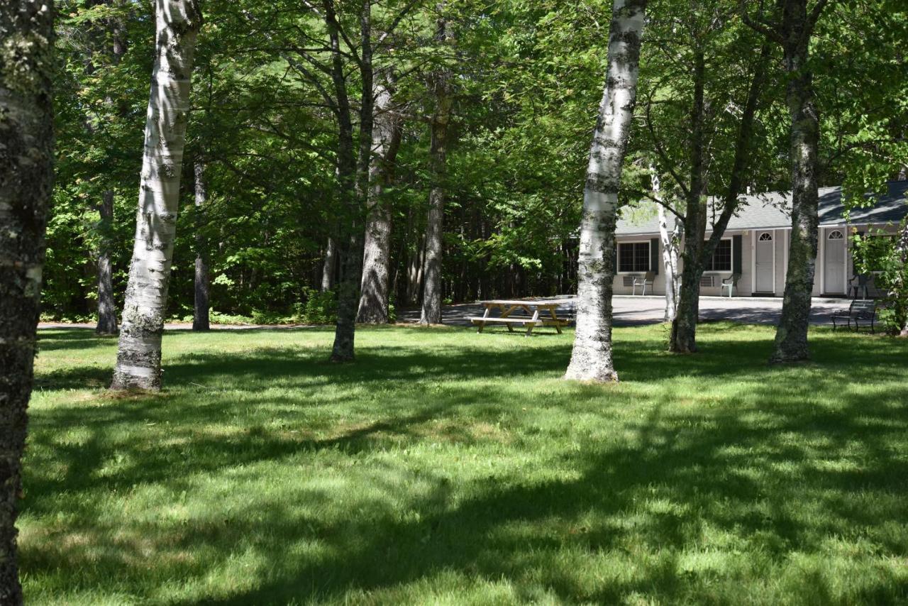 بار هاربور Acadia Pines Motel المظهر الخارجي الصورة